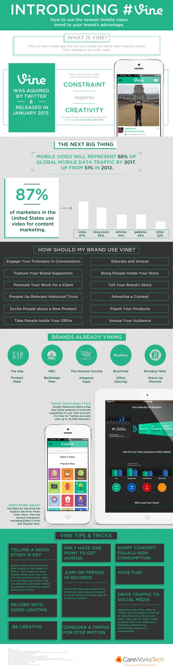 vine-infographic_1